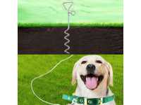 Dog Anchor