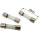 W4 20mm Glass Fuses